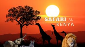 Fs vym 240613 safari kenya